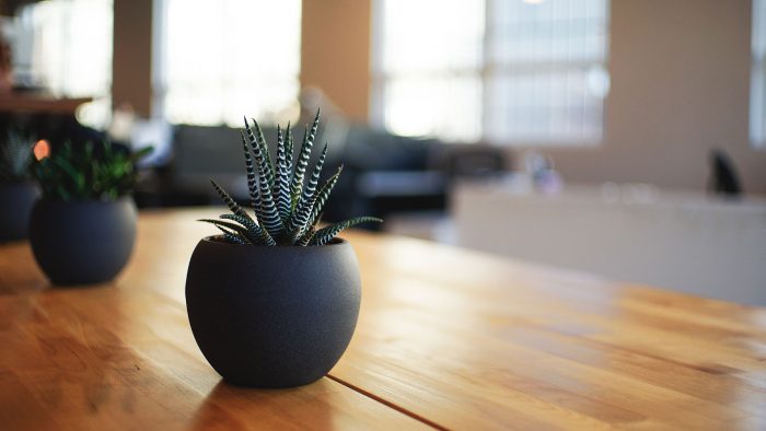 Alvin Engler BIhpiQA009k Unsplash